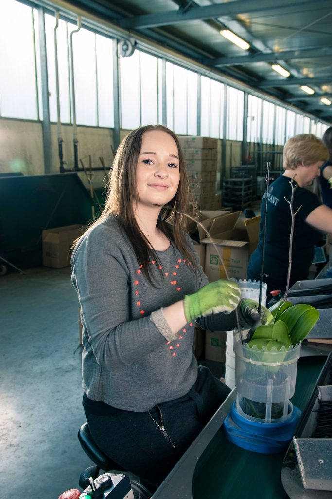 agrarisch medewerker NVBF