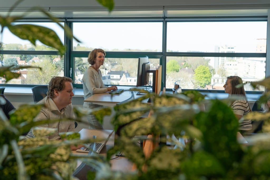 werken in de jungle