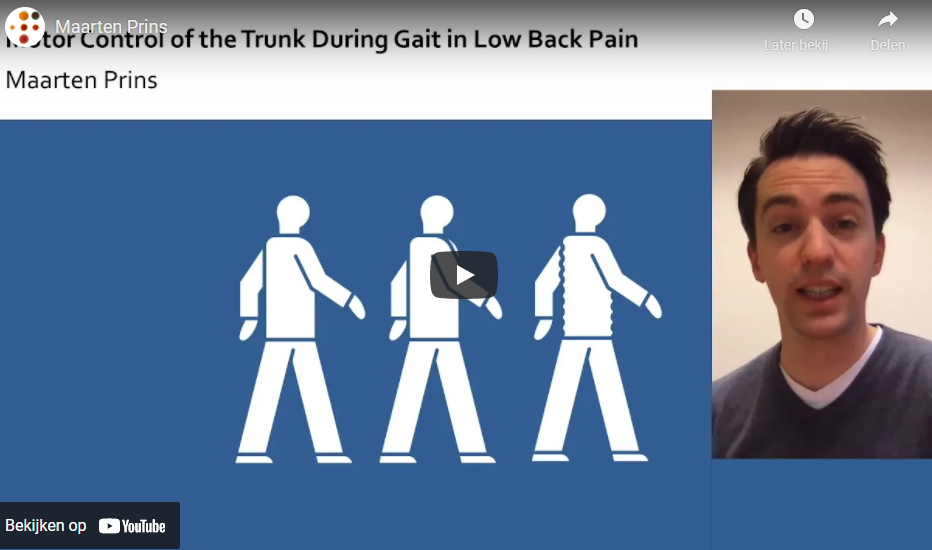 2020 - Motor Control of the Trunk During Gait in Low Back Pain